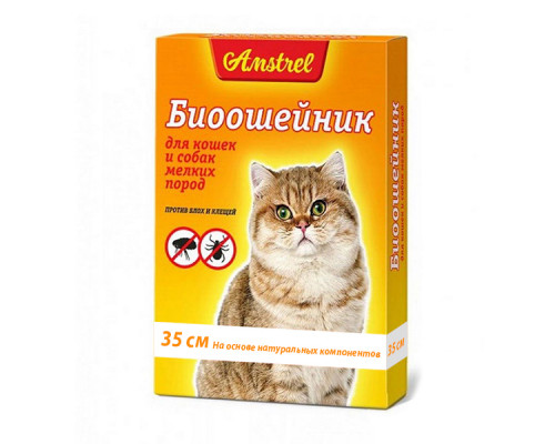 БИОошейник Amstrel для кошек и мелких собак оранжевый, 35 см, шт
